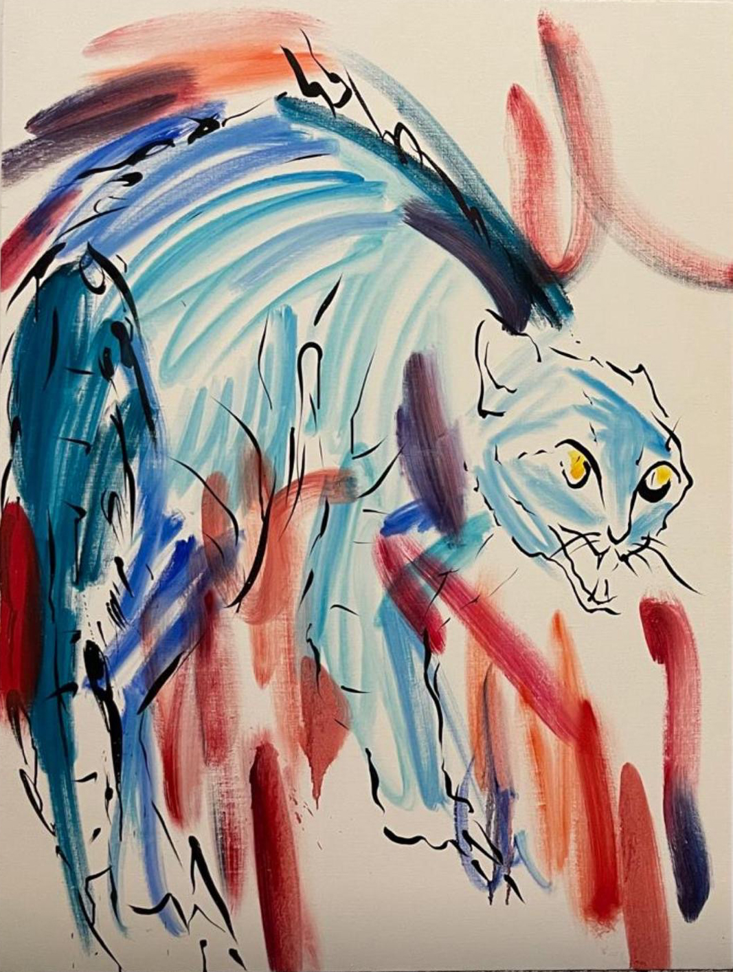 Riña de gatos (8)