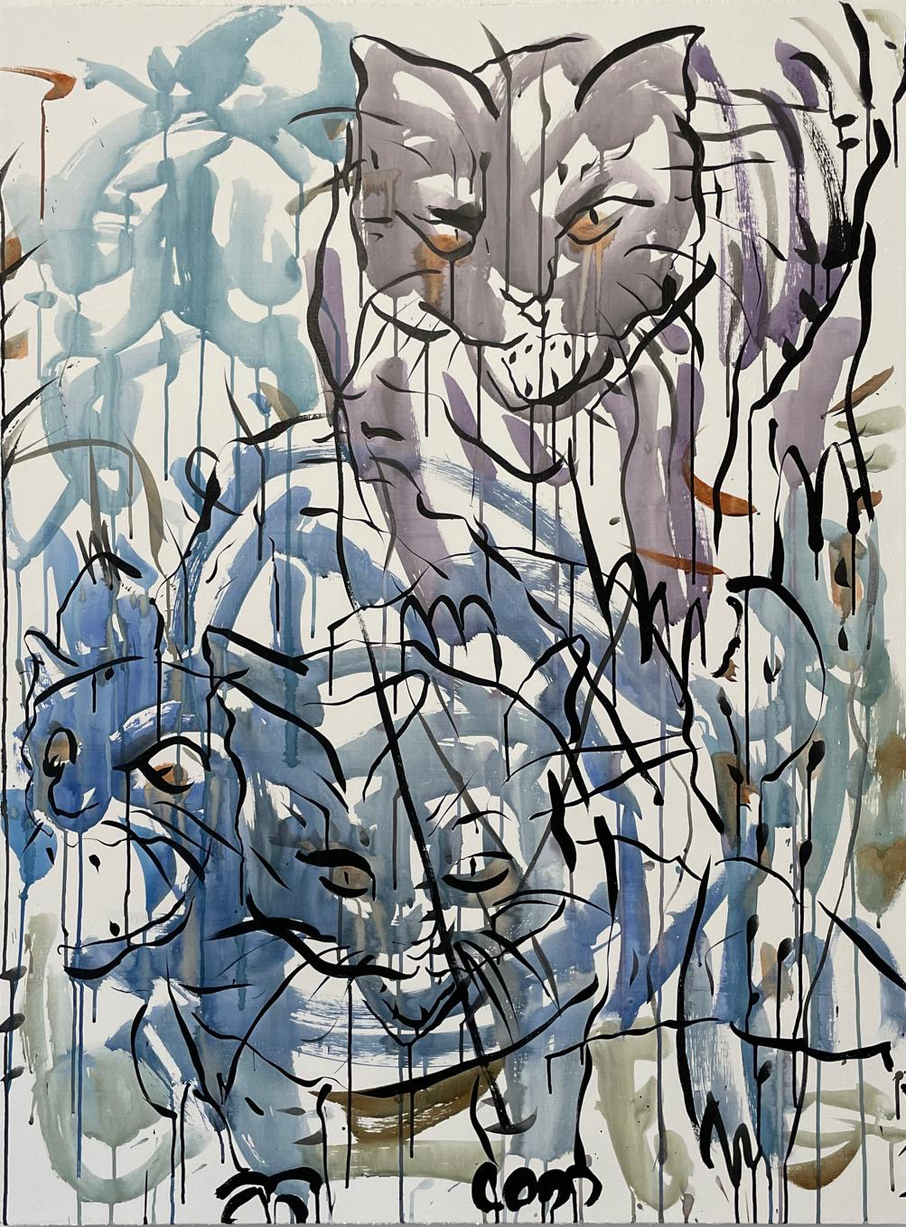 Riña de gatos (9)