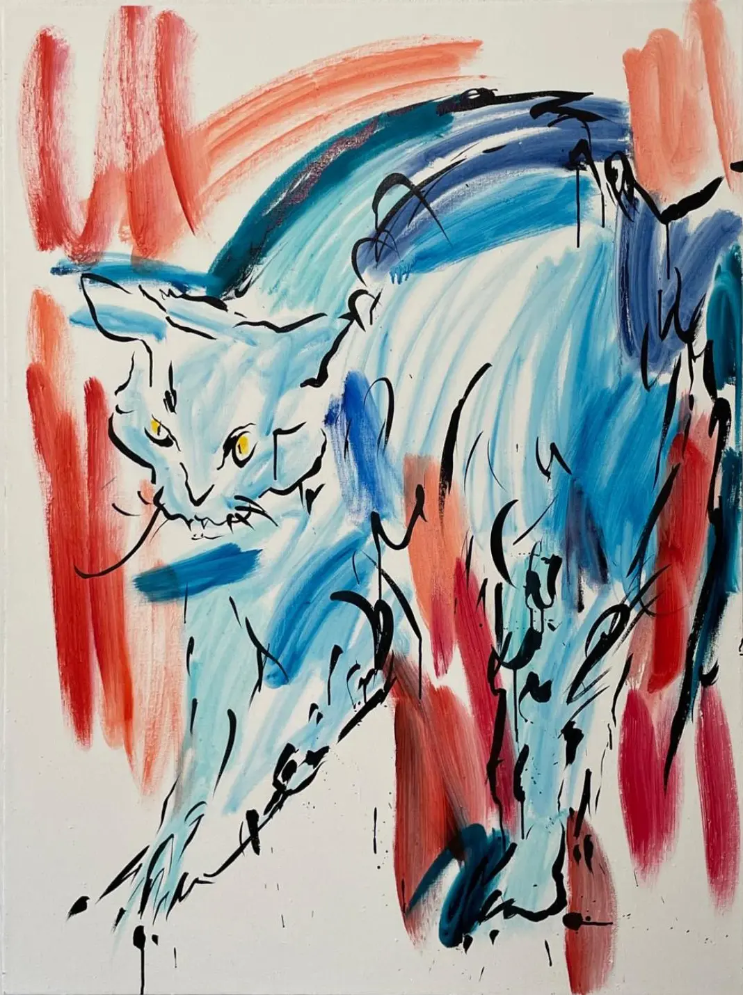 Riña de gatos (7)